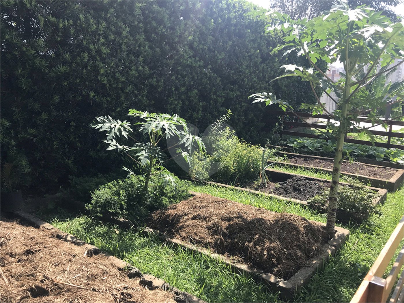 Sobrado à venda com 5 quartos, sendo 1 suíte, em Jardim São Bento, São Paulo, SP