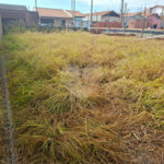 Terreno à venda em Parque São Bento, Itapetininga, SP