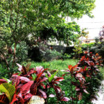 Casa à venda com 4 quartos, sendo 1 suíte, em Jardim das Bandeiras, São Paulo, SP
