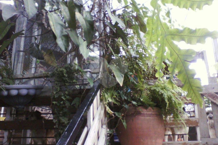 Prédio à venda em Água Fria, São Paulo, SP