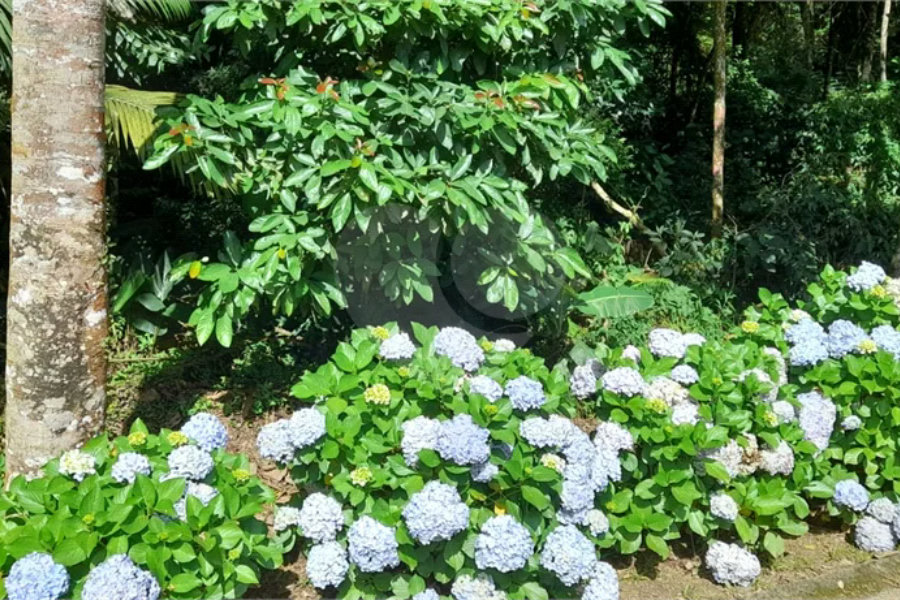 Terreno à venda em Roseira, Mairiporã, SP