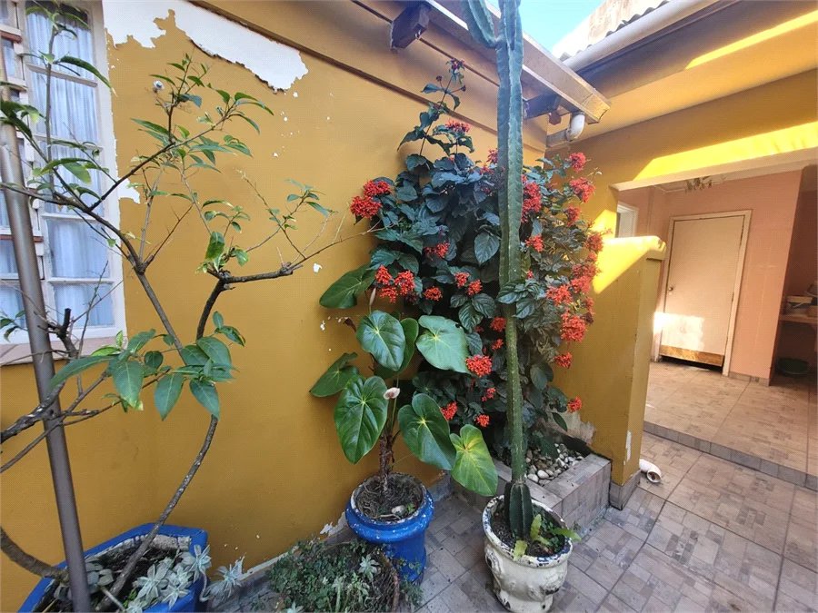 Sobrado à venda com 3 quartos, sendo 1 suíte, em Vila Hamburguesa, São Paulo, SP