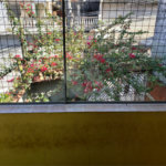 Sobrado à venda com 3 quartos, sendo 1 suíte, em Tremembé, São Paulo, SP