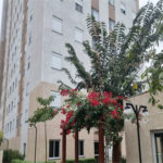 Apartamento à venda ou para alugar com 2 quartos em Parque Esmeralda, São Paulo, SP