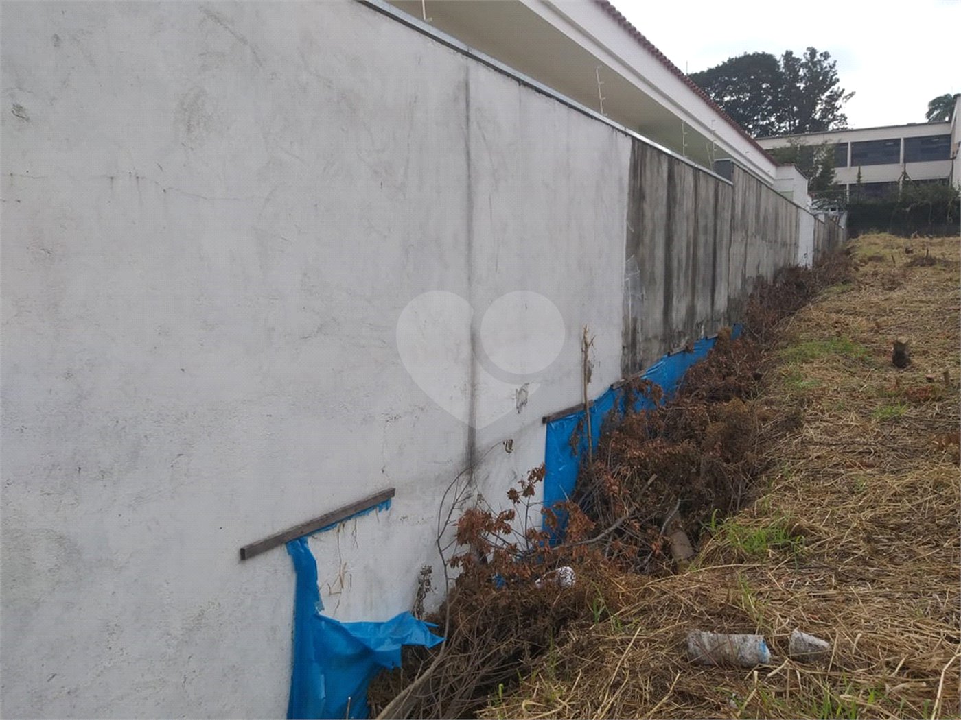 Terreno à venda com 1 suíte em Tucuruvi, São Paulo, SP