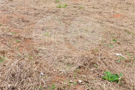 Terreno à venda em Jardim América, Bragança Paulista, SP