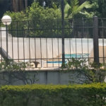 Apartamento à venda com 3 quartos, sendo 2 suítes, em Vila Andrade, São Paulo, SP