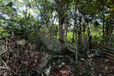 Terreno à venda em Residencial Emilio de Andrade, Ponta Porã, MS