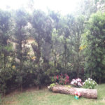 Casa à venda com 5 quartos, sendo 2 suítes, no condomínio Alpes da Cantareira, Mairiporã - SP