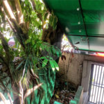 Sobrado à venda com 3 quartos, sendo 1 suíte, em Vila Pompéia, São Paulo, SP