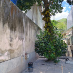 Casa à venda com 5 quartos em Senador Vasconcelos, Rio de Janeiro, RJ