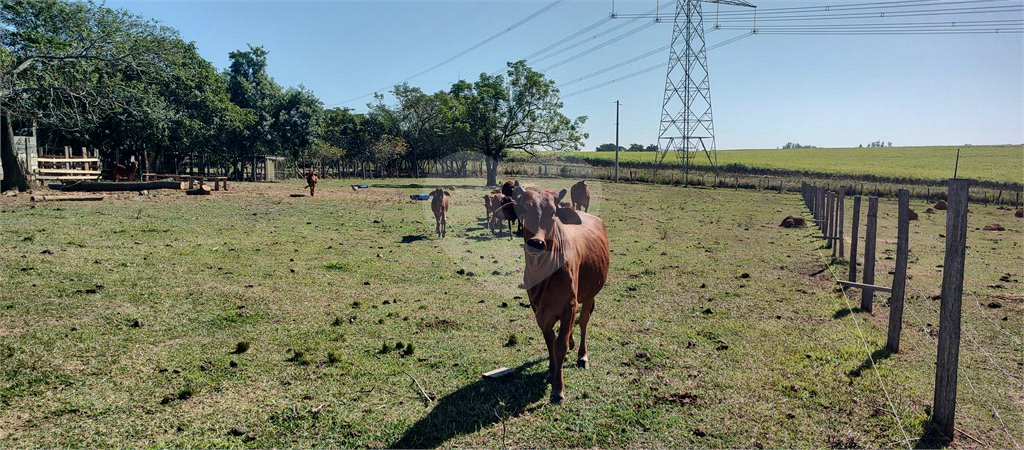 Sítio à venda com 2 suítes em Buru, Salto, SP