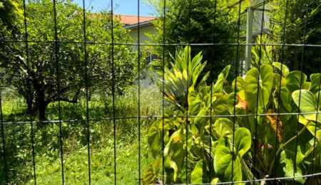Terreno à venda com 1 quarto em Campo Grande, São Paulo, SP