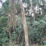 Condomínio à venda em Serra da Cantareira, Mairiporã, SP