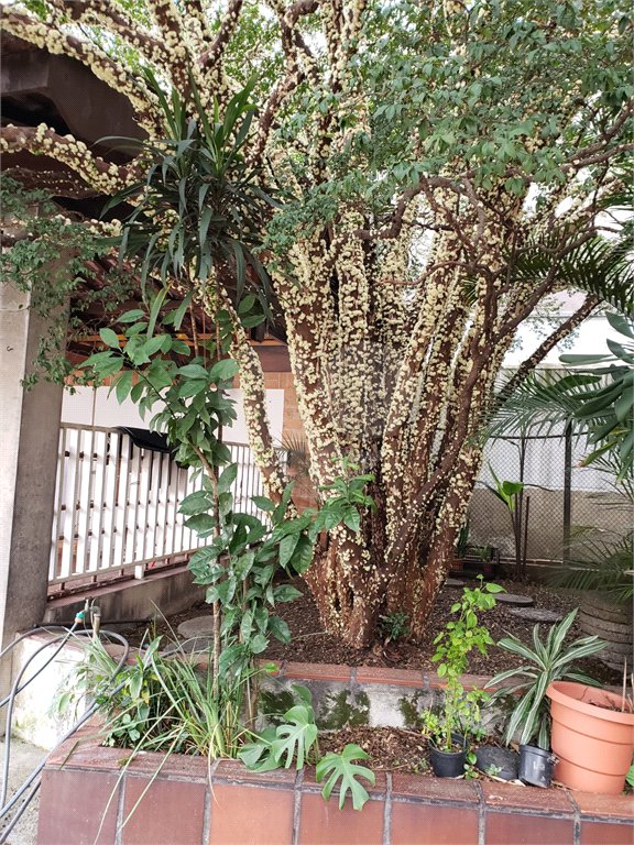 Casa à venda com 4 quartos em Tremembé, São Paulo, SP