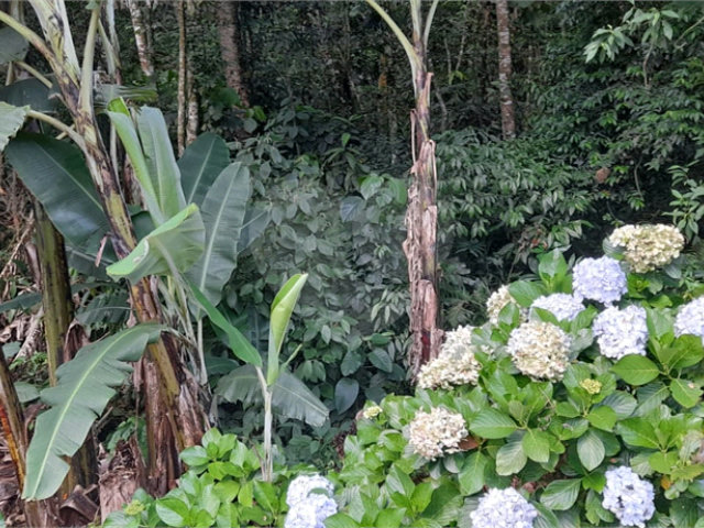 Terreno à venda em Roseira, Mairiporã, SP