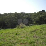 Área de Terra à venda em Porteira Preta, Mogi das Cruzes, SP