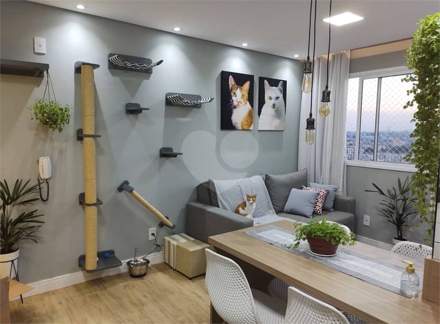 Apartamento à venda com 2 quartos em Pirituba, São Paulo, SP