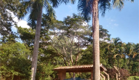 Chácara à venda com 5 suítes no Centro, Tuiuti, SP