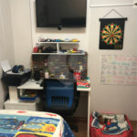 Apartamento à venda com 2 quartos, sendo 1 suíte, em Vila Guilherme, São Paulo, SP
