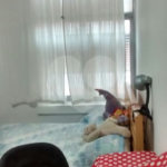 Apartamento à venda com 3 quartos, sendo 1 suíte, em Jaçanã, São Paulo, SP