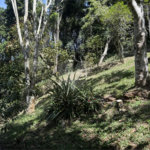 Casa à venda com 4 quartos no condomínio Parque Suiça, Caieiras - SP
