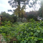 Terreno à venda com 3 quartos, sendo 1 suíte, em Tremembé, São Paulo, SP