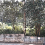 Terreno à venda ou para alugar em Vila Andrade, São Paulo, SP