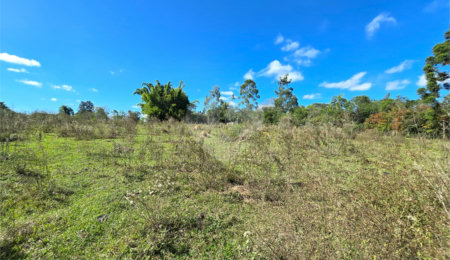 Terreno à venda em Cercadinho, Alambari, SP