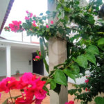 Casa à venda com 3 quartos, sendo 1 suíte, no Centro, Itapetininga, SP