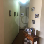 Apartamento à venda com 3 quartos, sendo 1 suíte, em Santa Teresinha, São Paulo, SP