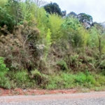 Terreno à venda em Luiz Fagundes, Mairiporã, SP
