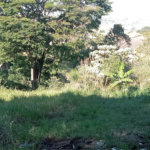 Terreno à venda em Bosque, Vinhedo, SP