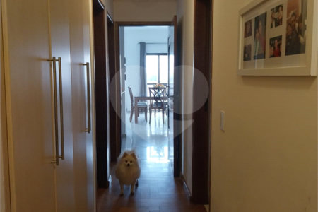 Apartamento à venda com 4 quartos, sendo 1 suíte,  em Vila Ipojuca, São Paulo, SP
