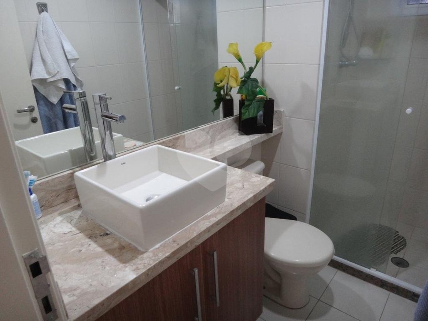 Apartamento à venda com 2 quartos em Vila Mascote, São Paulo, SP