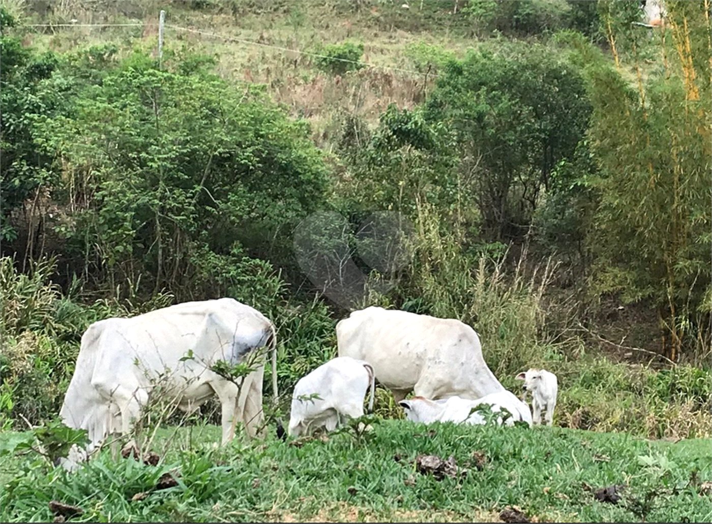 Sítio à venda com 3 suítes em Bairro do Cambará, São Roque, SP