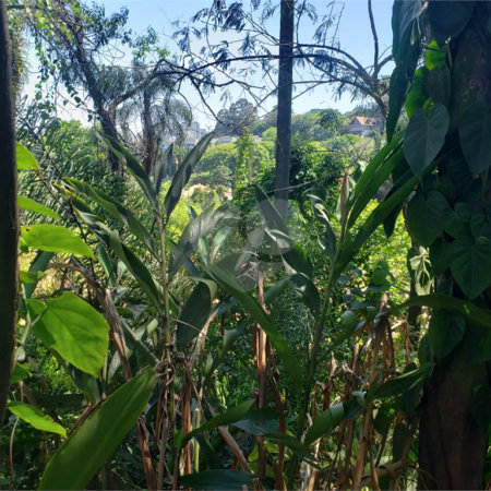 Terreno à venda em Morumbi, São Paulo, SP