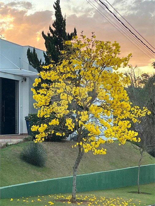 Casa à venda com 4 suítes no condomínio Dos Lagos, Itupeva - SP