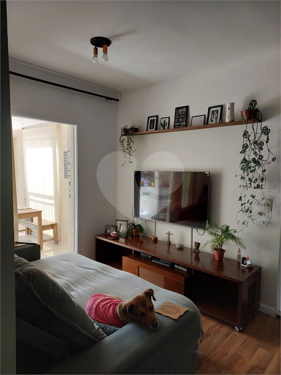 Apartamento à venda com 3 quartos, sendo 1 suíte, em Tucuruvi, São Paulo, SP