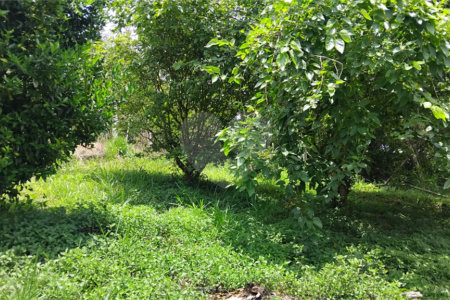 Chácara à venda com 2 quartos em Vila Caputera, Mogi das Cruzes, SP
