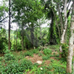 Terreno à venda no condomínio Sausalito, Mairiporã - SP