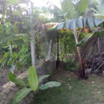 Chácara à venda com 5 quartos, sendo 1 suíte, em Jardim Marabá, Itapetininga, SP