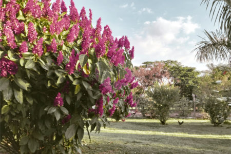 Chácara à venda com 6 suítes em Chácara de Recreio a Morada do Sol, Porto Feliz, SP