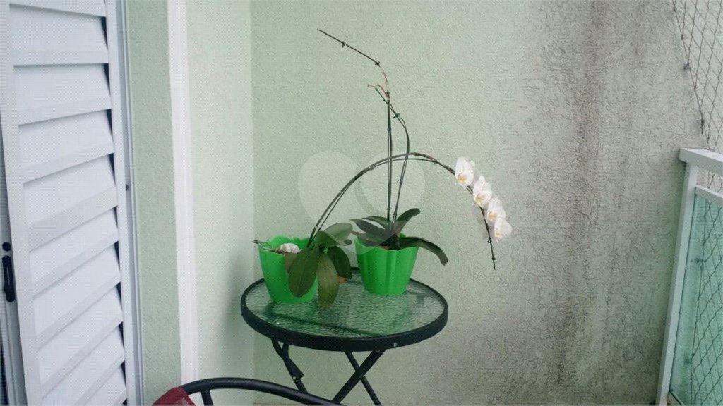 Sobrado à venda com 3 suítes em Limão, São Paulo, SP