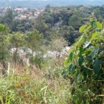 Terreno à venda em Barreiro, Mairiporã, SP