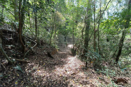 Chácara à venda com 5 quartos, sendo 3 suítes, em Vila Darcy Penteado (mailasqui), São Roque, SP