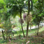 Casa à venda com 4 suítes no condomínio Parque Imperial, Mairiporã - SP