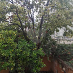 Sobrado para alugar com 2 quartos, sendo 1 suíte, em Santana, São Paulo, SP