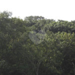 Área de Terra à venda em Porteira Preta, Mogi das Cruzes, SP