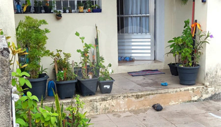 Casa à venda com 2 quartos em Tucuruvi, São Paulo, SP